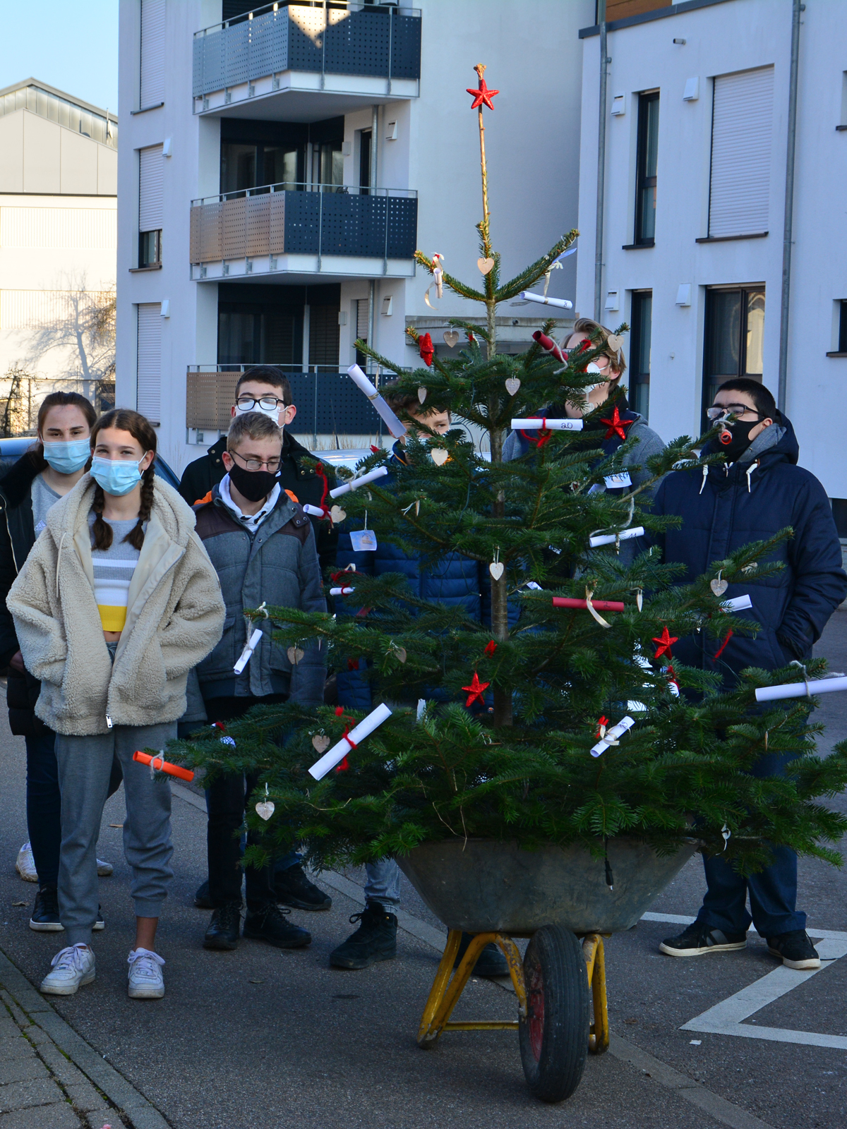  Mit einer Schubkarre brachten die jungen Leute den liebevoll geschmückten Weihnachtsbaum von der Schule zum Seniorenzentrum. 