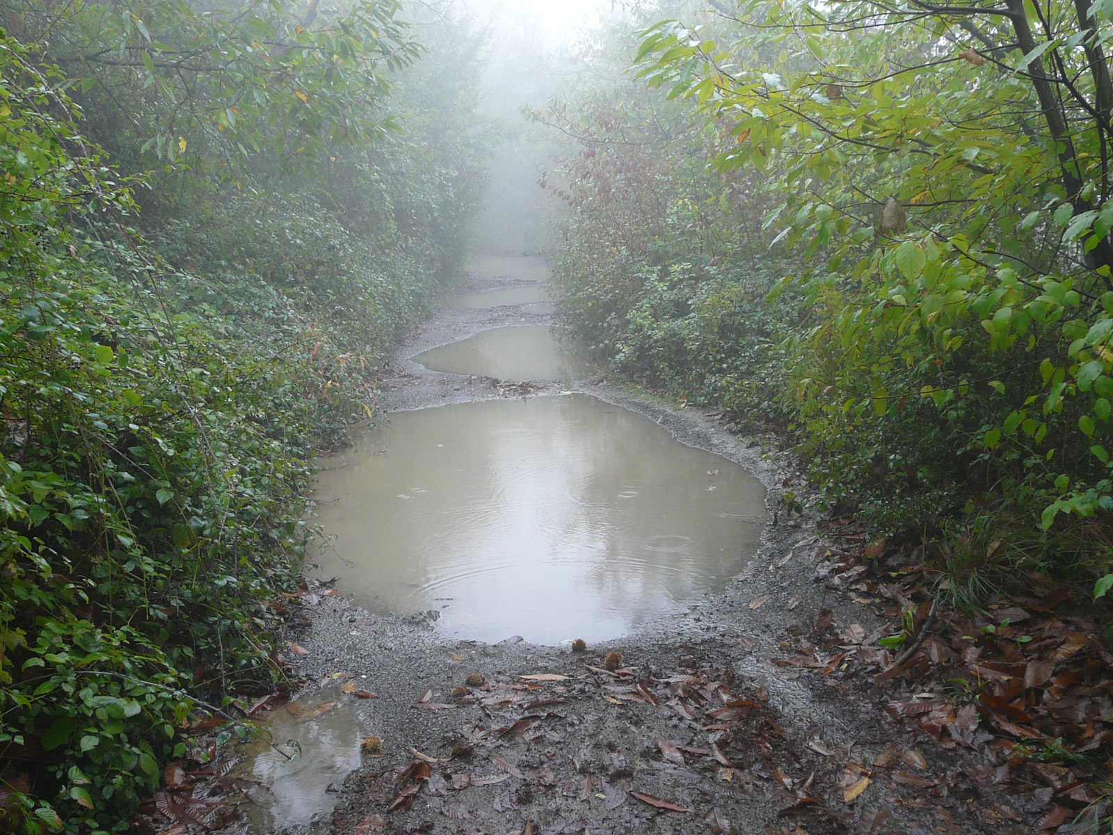  Regen begleitete den Wanderer öfters auf seinem Weg und sorgte für erschwerte Bedingungen auf der Reise 