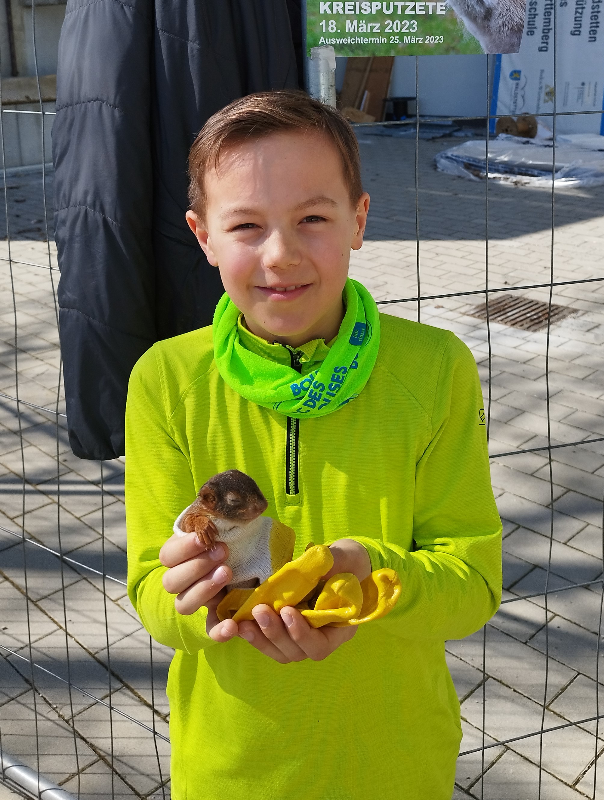  Moritz hatte ein Eichhörnchen-Baby gefunden, das anschließend versorgt wurde. 