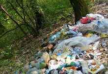 Der Wald ist kein Müllabladeplatz - vermehrte Rückmeldung über Abfallentsorgung im Gemeindegebiet