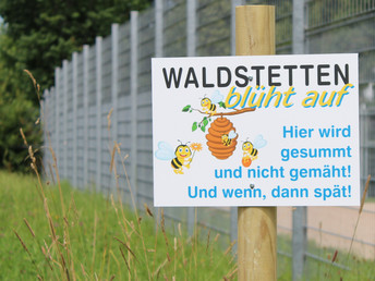 Insektenschutz: Gemeinde Waldstetten weist Blühstreifen aus