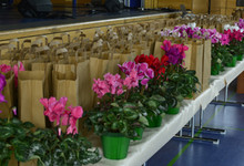 Preisverleihung des Blumenschmuckwettbewerbes im Rahmen des OGV-Herbstfestes in der Waldstetter Stuifenhalle