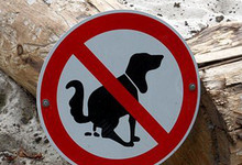 Verunreinigung durch Hunde auf öffentlichen Plätzen, Spielplätzen und privaten Grundstücken - Stand: 17. März 2023