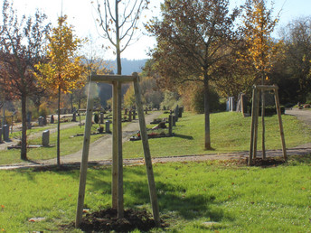 Friedhof Waldstetten: Grabpflege - Stand 29. Juni 2023